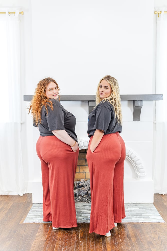 Stella Wide Leg Pants in Rust